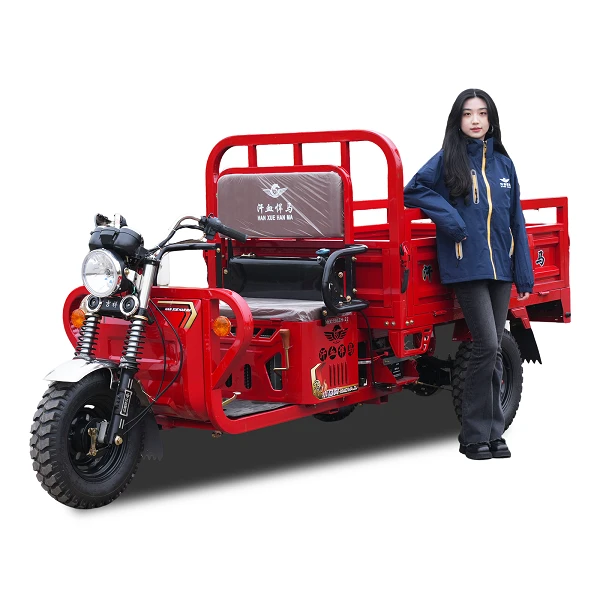 150cc vrachtdrager benzine driewieler
